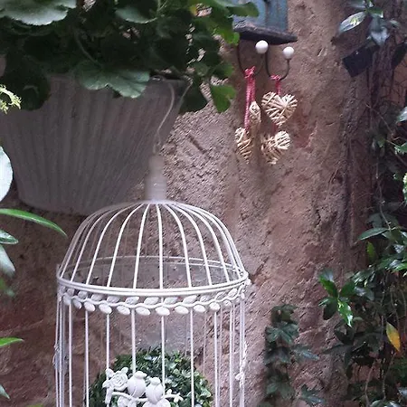 住宿加早餐酒店 伊吉里奥b&b酒店 4*